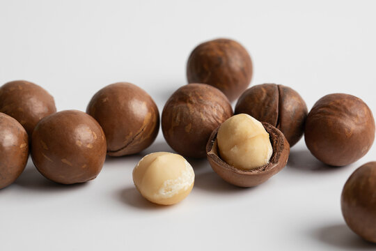 macadamia nuts isolated on white background