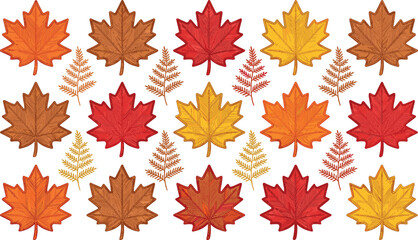 Fototapeta premium Autumn Maple Leaves and Fern Collection with Colorful Fall Foliage Isolated on White Background Seasonal Botanical Vector Set