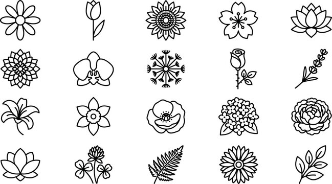 Flower and plant thin line icons set featuring rose daisy sunflower lily and spring blossom elements,