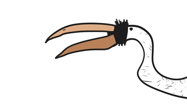 A bird with a large and long beak makes some sounds by opening and closing its mouth.
