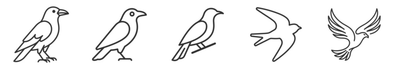 Obraz premium set of five different bird outlines black line art vector illustrations on transparent background