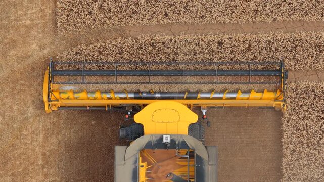 Aerial of a combine harvester in a grain fiel- Top Down Aerial