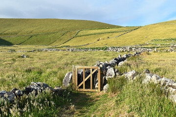 A stone wall lines a hiking trail that leads through pastures and grassy rural landscape under a blue sky, Corvo Island, Azores © Klara Bakalarova
