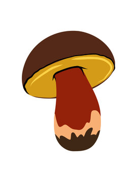Porcini Mushroom Vector Illustration Isolated on White Background