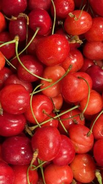 Fresh red cherries with stems creating a vibrant fruit background