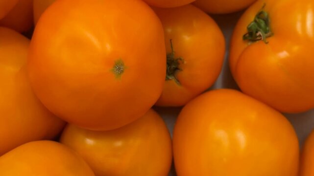 Bright yellow orange tomatoes closely packed creating a vibrant organic food background