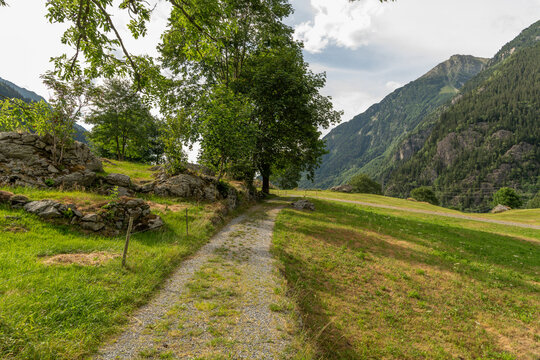 Guttannen, Switzerland. Curving hiking trail through alpine meadow with trees and mountain scenery in the Bernese Oberland