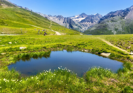 Landscape with white flowers and lake in Austrian Pitztal Glacier and Lake Riff - Rifflesee