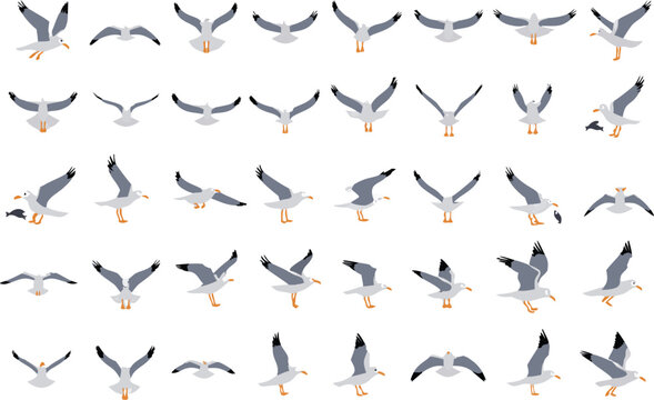 Seagull flying bird sprite sheet for animation in various poses and angles