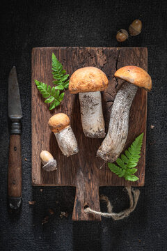 Wild and edible mushrooms ready to prepare a meal.