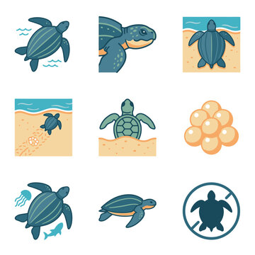 Flat vector icon set illustrating leatherback sea turtle life cycle stages, featuring nesting on beaches, egg clusters, swimming in ocean, and wildlife conservation symbols.