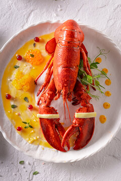 Exclusive cooked lobster as healthy summer appetizer.