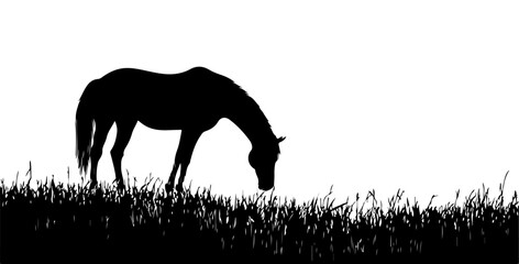 Silhouette of Grazing Horse in Natural Landscape. © Rezza