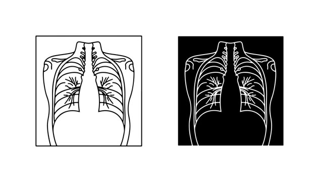 Human Lungs Anatomy Vector Icons, Medical Illustration, Respiratory System Diagrams, Science & Health