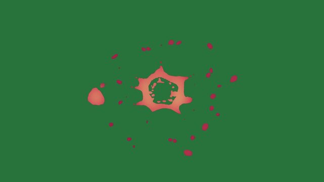 White border and red heart on screen star it flower orange splash circle hearts isolated on green screen background