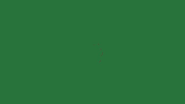 White border and red circle on rose screen black it isolated on green screen background