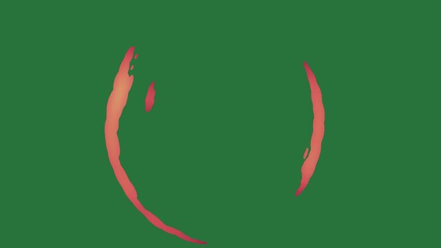 White border and red circle screen on rose isolated on green screen background