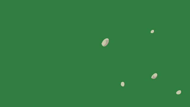 Elephant on circles it clouds dots paw prints rhino isolated on green screen background