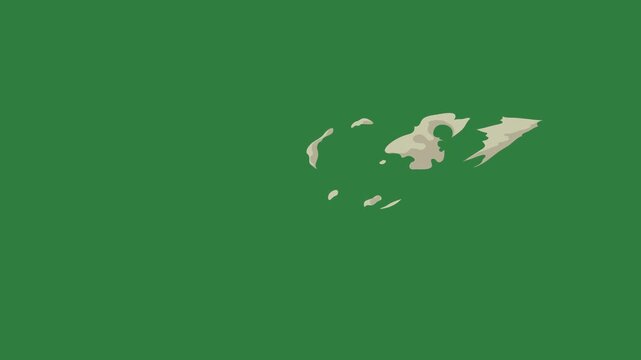 The map of new zealand cat an image shark bird isolated on green screen background