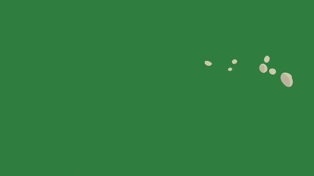 Dots dinosaur elephant circle circles isolated on green screen background