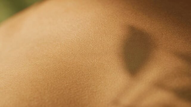 Macro shot of a palm leaf shadow moving across a person's skin, evoking a sense of tranquil summer holidays, sunbathing, and tropical relaxation with soft, warm sunlight caressing the body