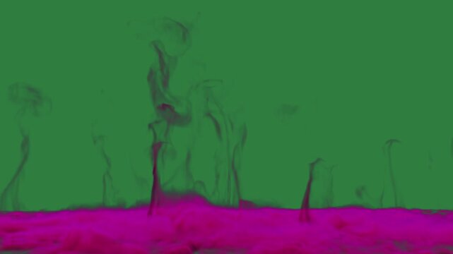 Black lot of pink flowers purple on in the fore bunch it smoke isolated on green screen background