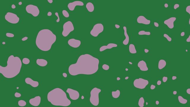 White border and purple cloud pantonee hearts on screen flowers clouds map bubbles leaves isolated on green screen background