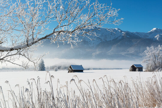 Germany, Upper Bavaria, Werdenfelser Land, Kochel, winter landscape, shack
