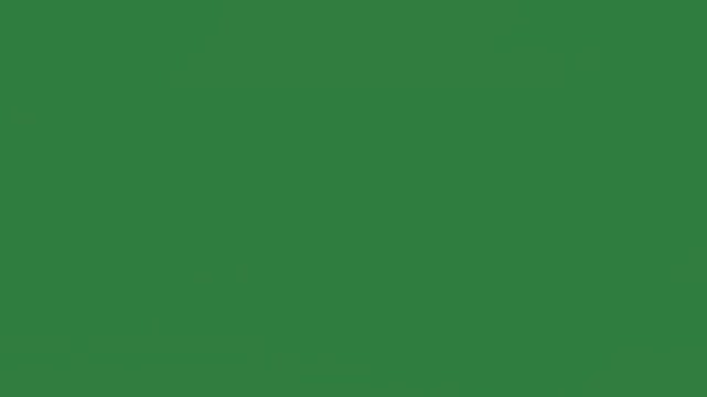Group of birds flying in the sky purple bird air dolphins swimming ocean two hearts isolated on green screen background