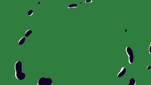 Black camouflage camo pattern spots cow clock flower cows isolated on green screen background