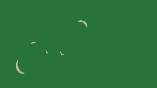 White dove and smoke background border coming out circle pile clouds some circles cartoon character isolated on green screen background