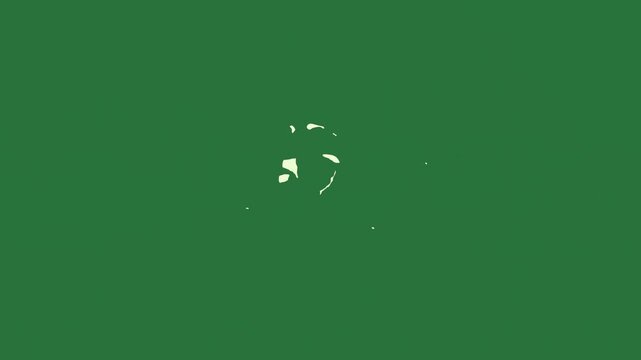 White star and flowers leaves screen globe hole wallpaper flower cat black isolated on green screen background