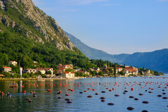 Montenegro, Bay of Kotor, Ljuta