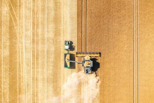 Aerial view of combine harvester in vast wheat field