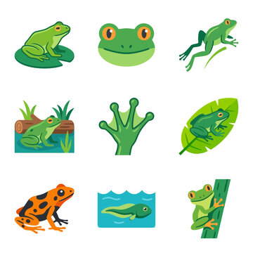 Set of flat vector frog icons including green frog on lily pad, jumping frog, tadpole swimming, poison dart frog, tree frog climbing, and frog foot, isolated on white background.
