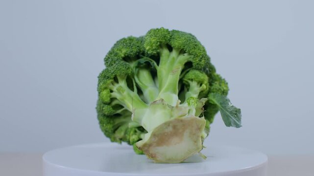 Fresh green broccoli floret isolated on white background.