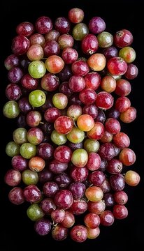 Fresh Ripened Amelanchier Fruits Or Saskatoon Berries Organized On Horizontal Black Background.