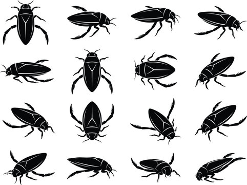 Black Back Swimmer Insect Silhouette Pattern Vector Illustration Set On Clean White Background Design