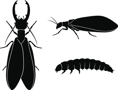 Black Dobsonfly Insect Silhouette Pattern Vector Illustration Set On Clean White Background Design