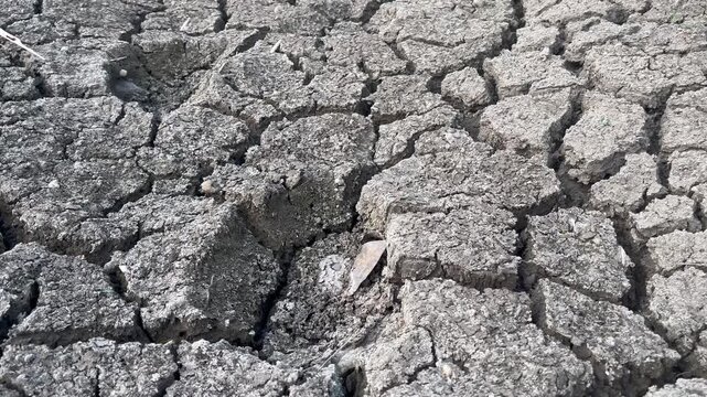 Severe drought ground texture with deep cracked mud patterns