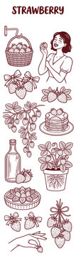 Hand-drawn strawberry illustrations and botanical elements set. Vintage fruit sketches with jars, plants, and decorative line art for design.
