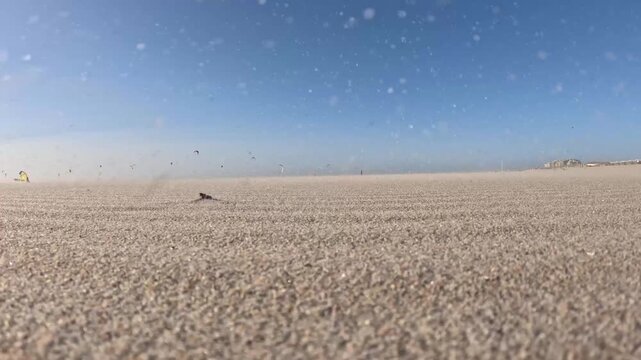 Dramatic coastal weather at Kijkduin Beach featuring airborne sand and kitesurfers in the distance