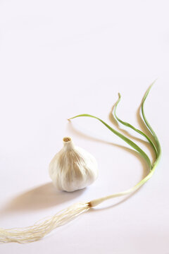 garlic on white background