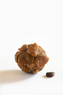 tamarind isolated on white background