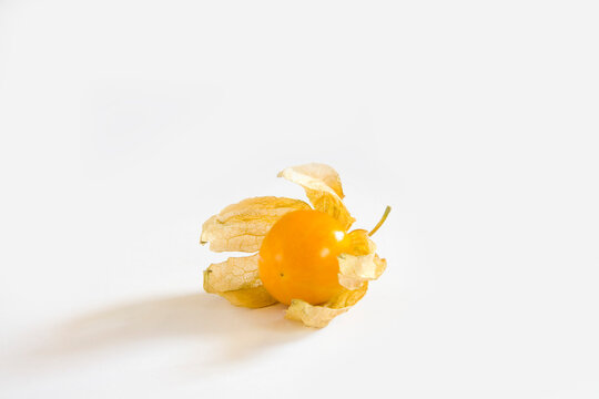 physalis on white background