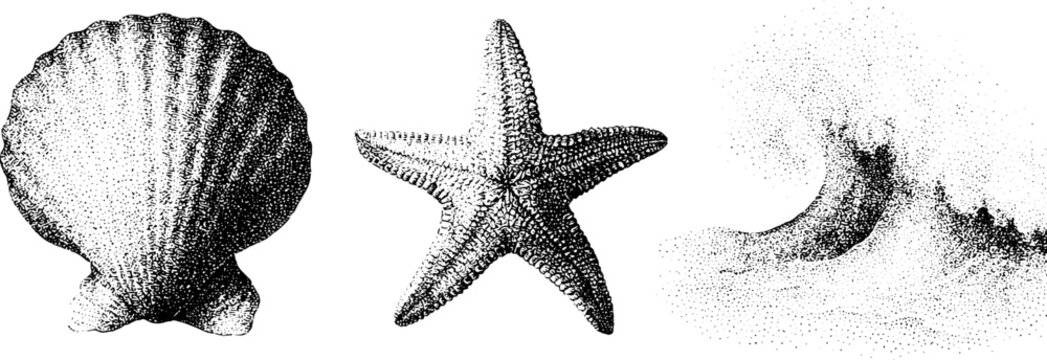 Black and white stipple scallop shell starfish and breaking wave scene for summer background and coastal poster design