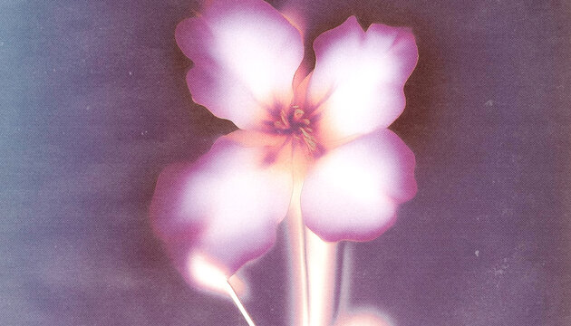 Dreamy Floral Background with Glowing Light, Grainy Paper Texture and Y2K Retro Aesthe