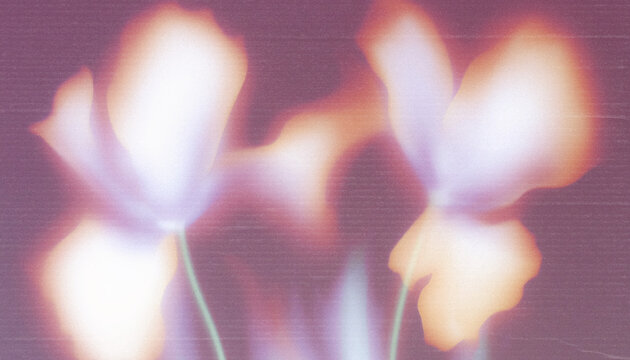 Dreamy Botanical Silhouettes with Soft Gradient Glow and Grainy Paper Texture