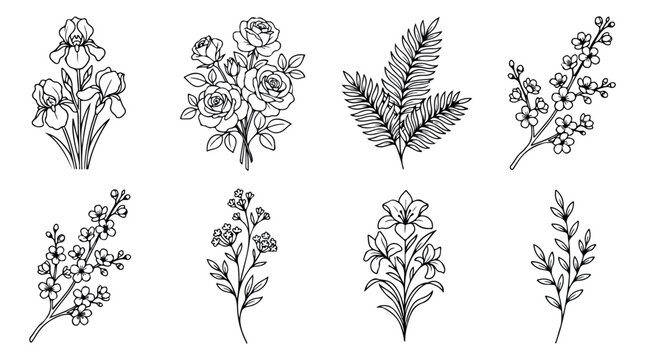 Minimalist botanical line art collection, hand drawn floral vector set of 8 icons, elegant black and white flower sketches for wedding invitations