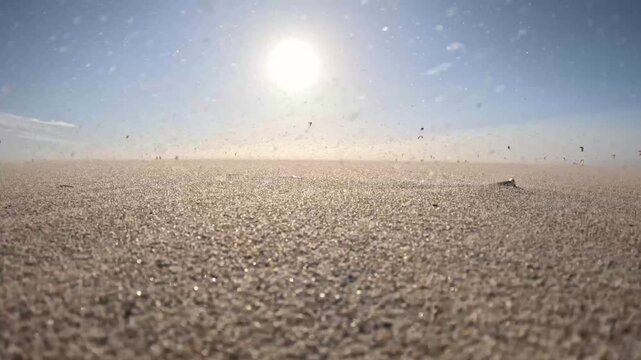 Golden hour kitesurfing in the background during a windswept sandstorm at Kijkduin Beach